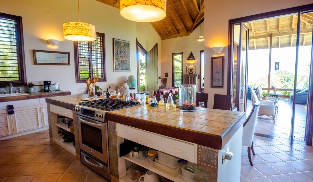 Image of For Sale Listing “Estate of Mind” Luxurious and Graceful Villa open-concept kitchen