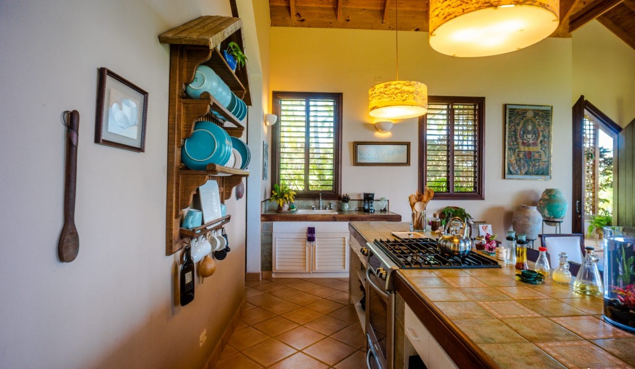 Image of For Sale Listing “Estate of Mind” Luxurious and Graceful Villa kitchen