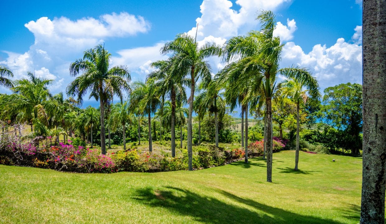 Image of For Sale Listing “Estate of Mind” Luxurious and Graceful Villa palm trees and green grass