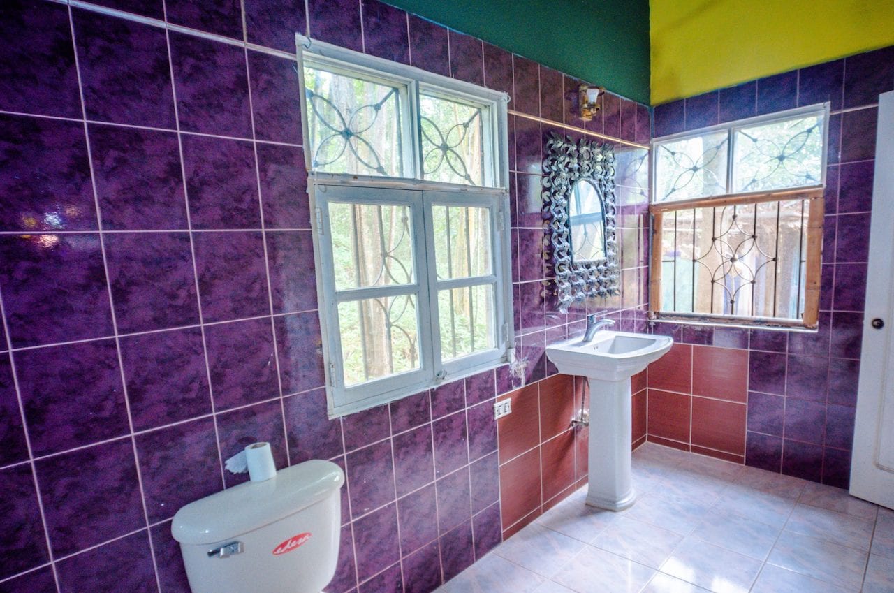 Expansive Ocean and Mountain View Community Development Opportunity image bathroom with purple tiles