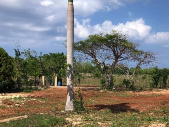 Lomas Mironas Land for 1200 sqm for sale in the Dominican Republic