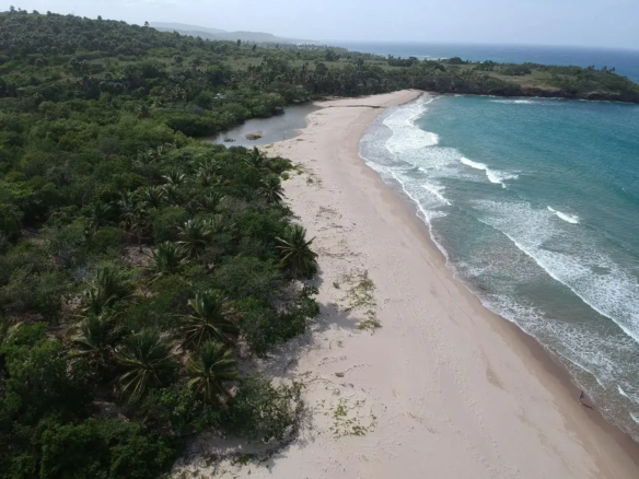 Beachfront Property in Cambiaso a Pristine Tropical Setting