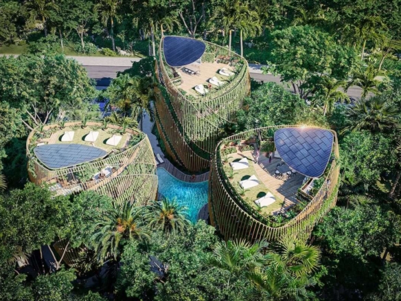 Living the Noom Miches