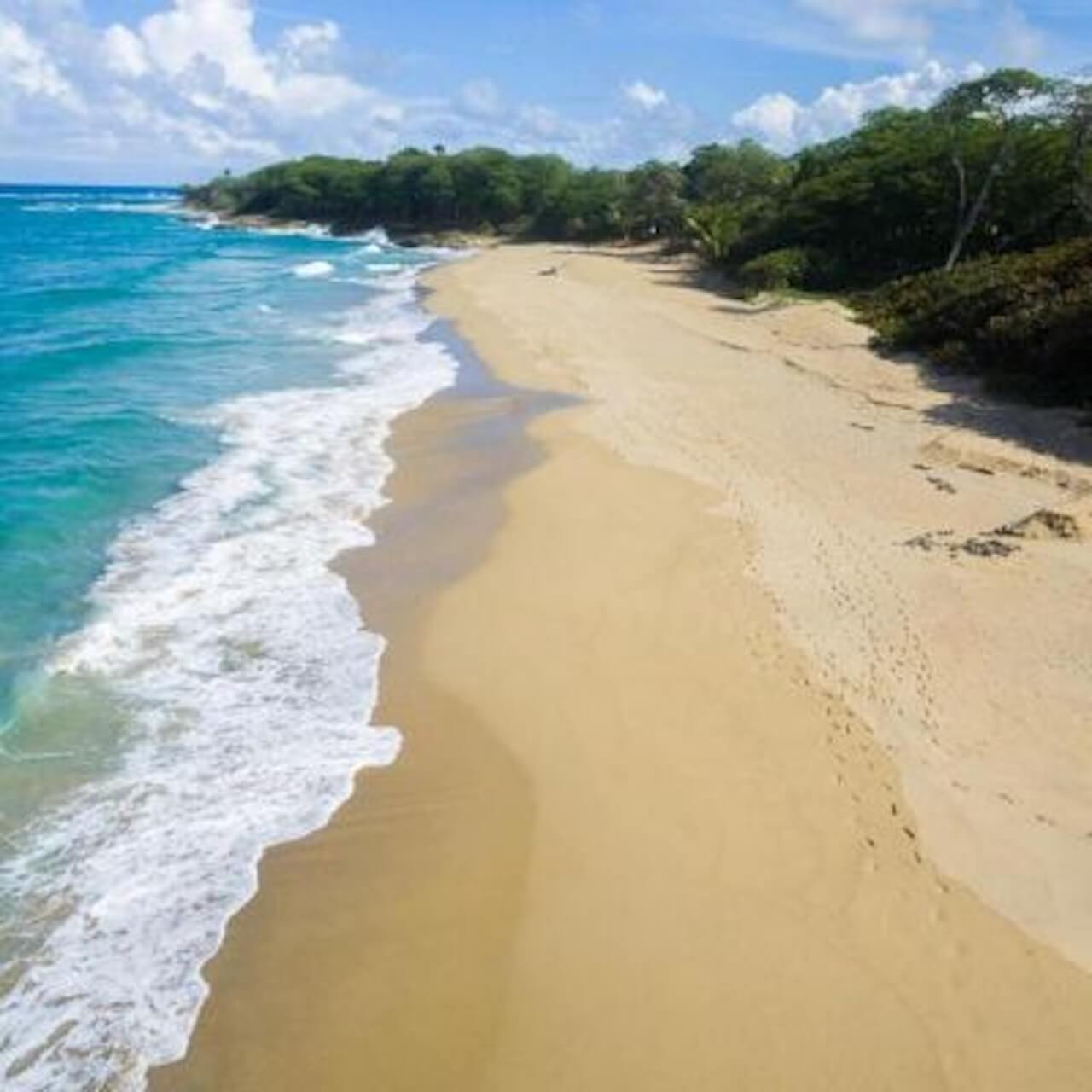 BEACHFRONT 2 BEDROOM CONDO FOR SALE IN PERLA MARINA