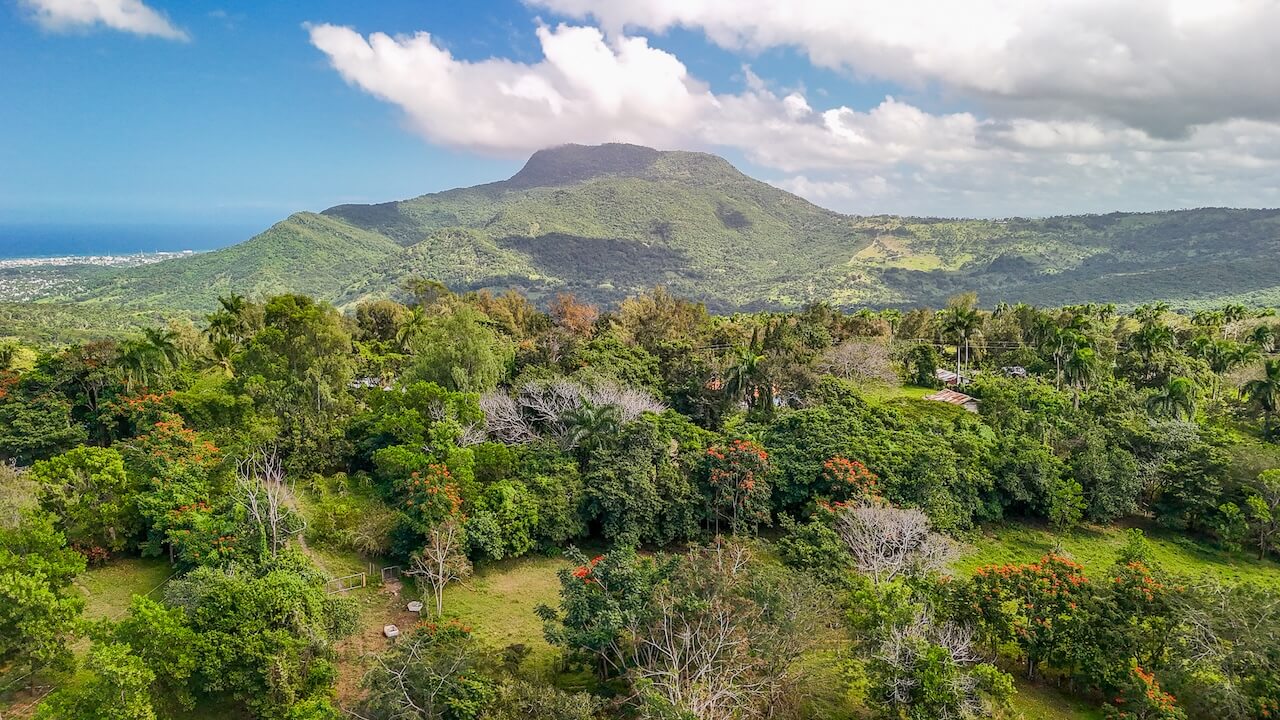 15 Acres of Mountain Paradise in El Cupey, Puerto Plata