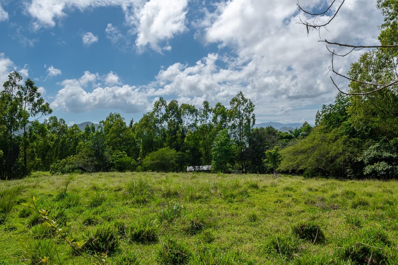 15 Acres of Mountain Paradise in El Cupey, Puerto Plata