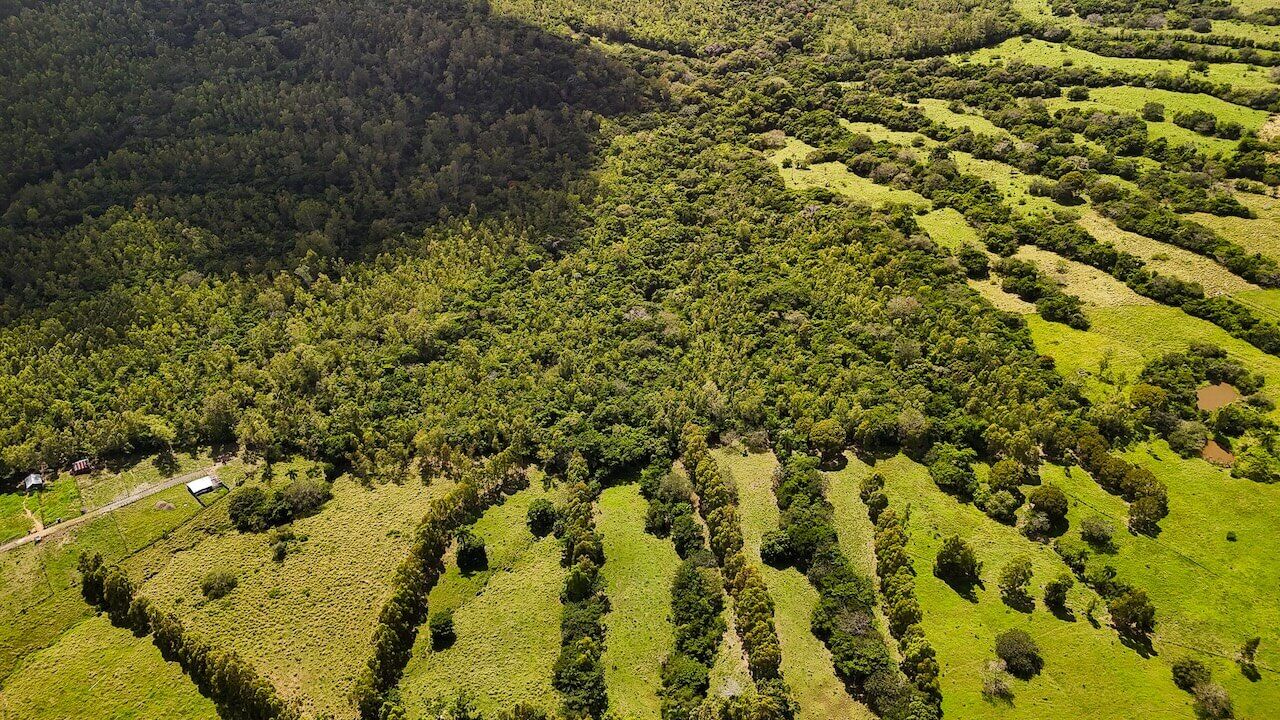 15 Acres of Mountain Paradise in El Cupey, Puerto Plata