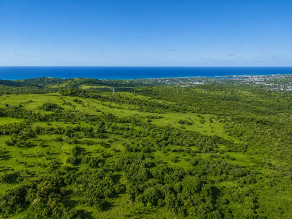 315 Acres of Development Opportunity — Puerto Plata, Dominican Republic