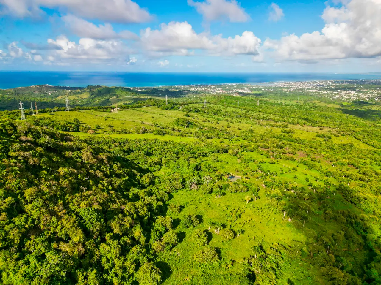 315 Acres of Development Opportunity — Puerto Plata, Dominican Republic
