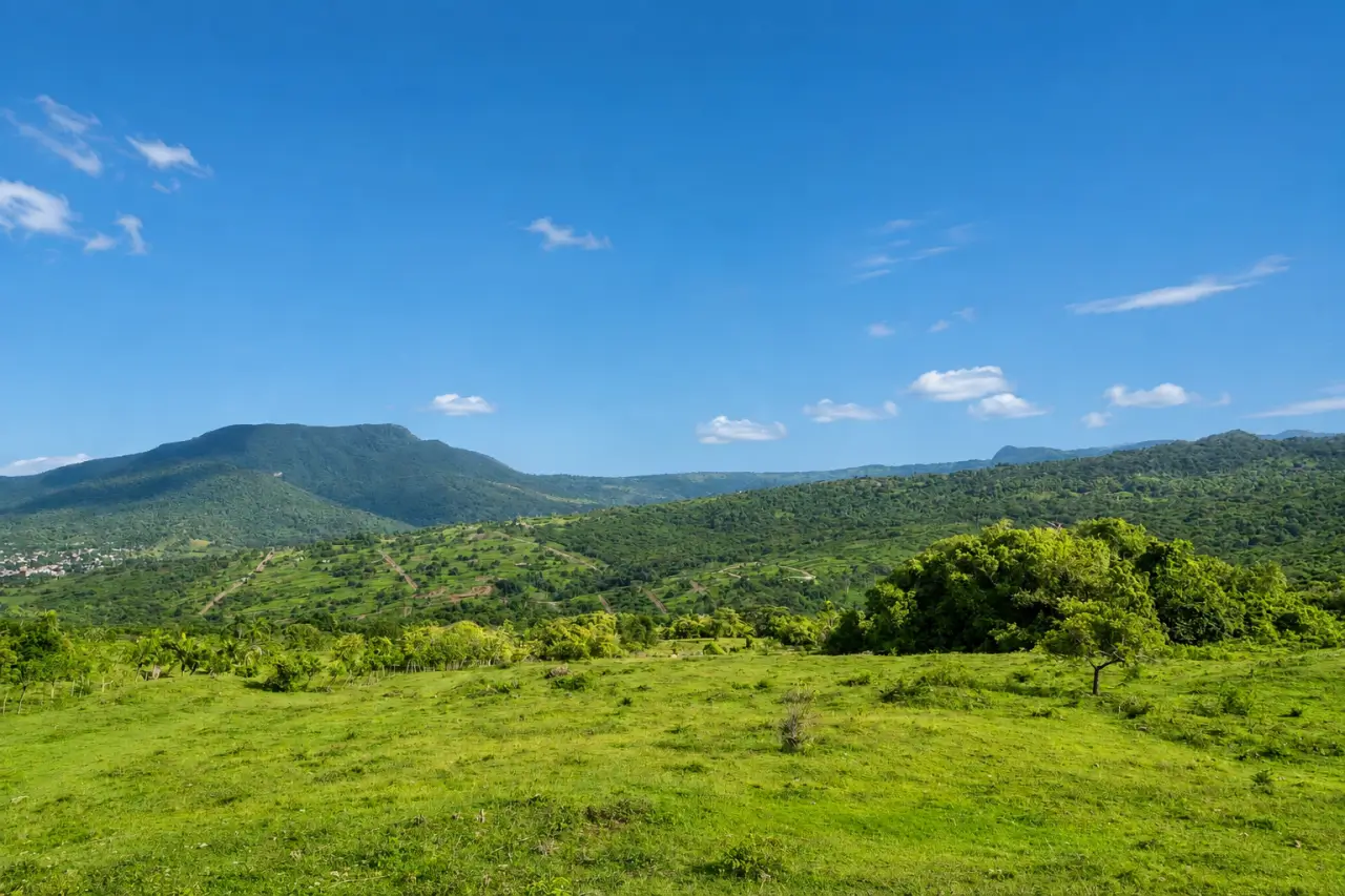 315 Acres of Development Opportunity — Puerto Plata, Dominican Republic