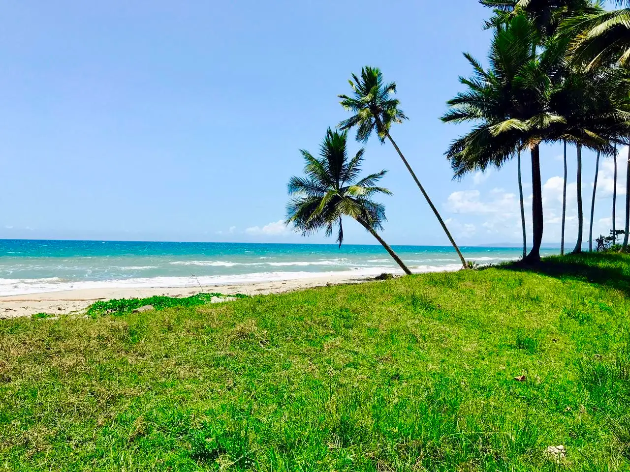 Playa Coco Loco 37,500 m² of pure Caribbean Potential
