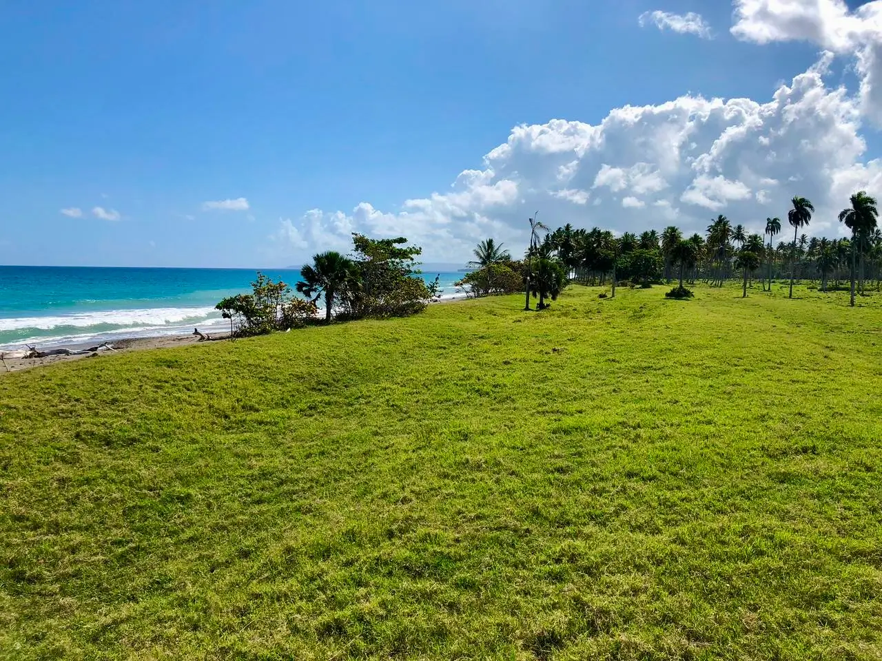Playa Coco Loco 37,500 m² of pure Caribbean Potential