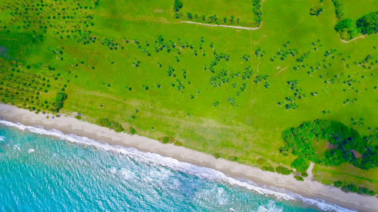 Playa Coco Loco 37,500 m² of pure Caribbean Potential