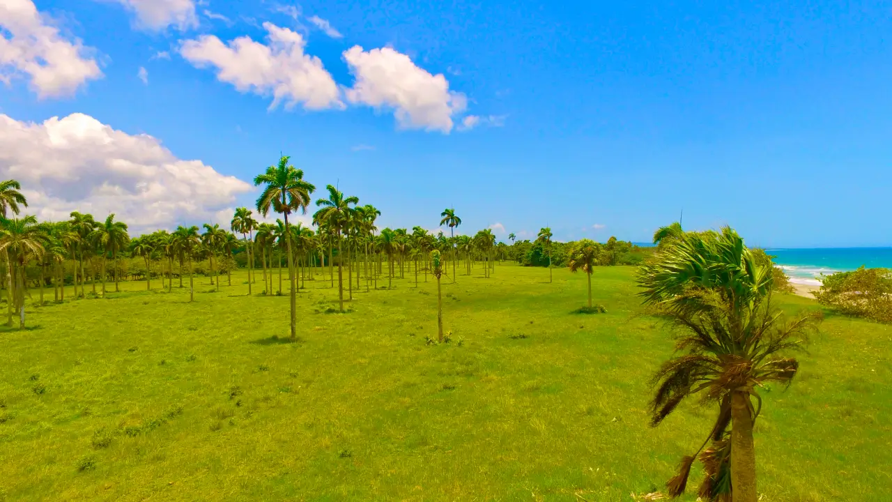Playa Coco Loco 37,500 m² of pure Caribbean Potential