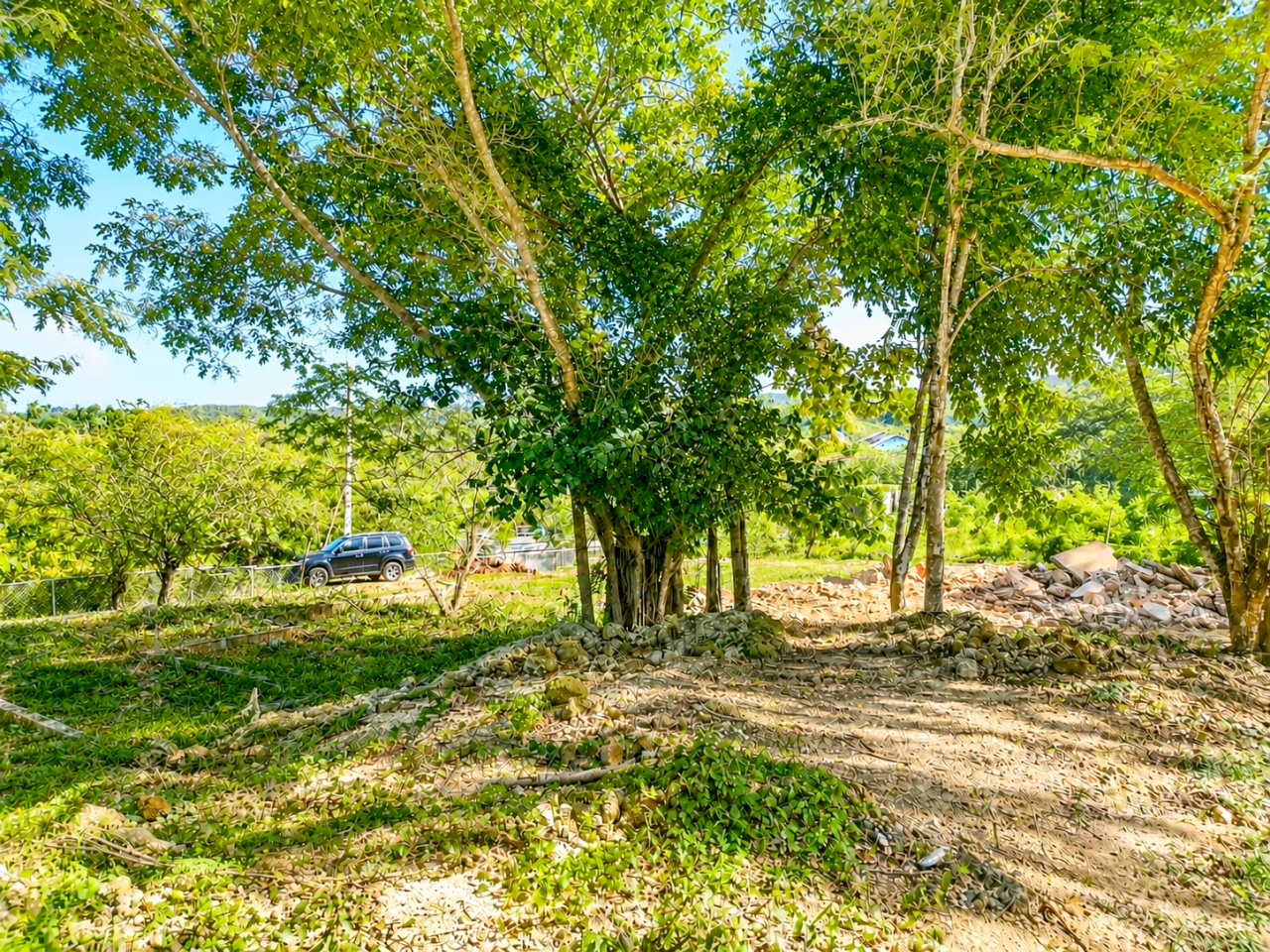 600 M² TROPICAL LOT IN LA MULATA, SOSÚA