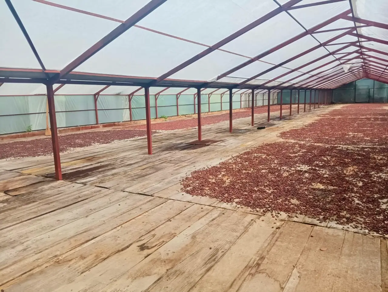 A Large-Scale Land and Timber Investment in the Dominican Republic