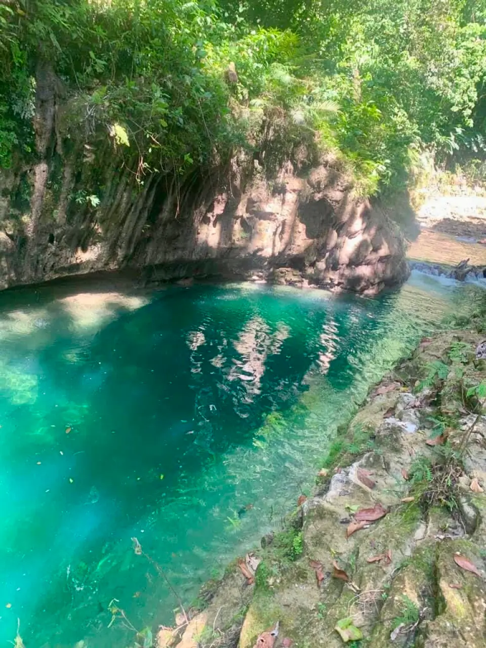 A Large-Scale Land and Timber Investment in the Dominican Republic