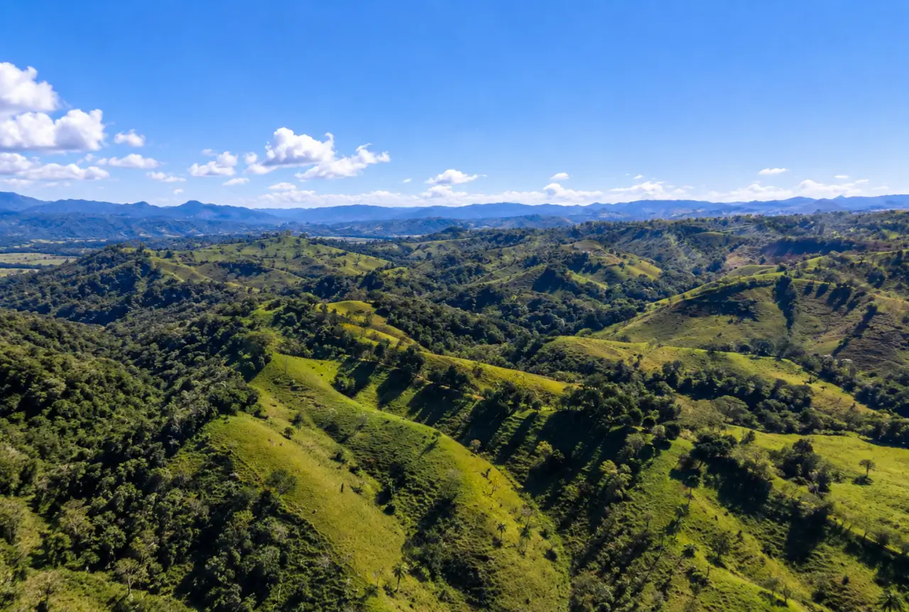 A Large-Scale Land and Timber Investment in the Dominican Republic