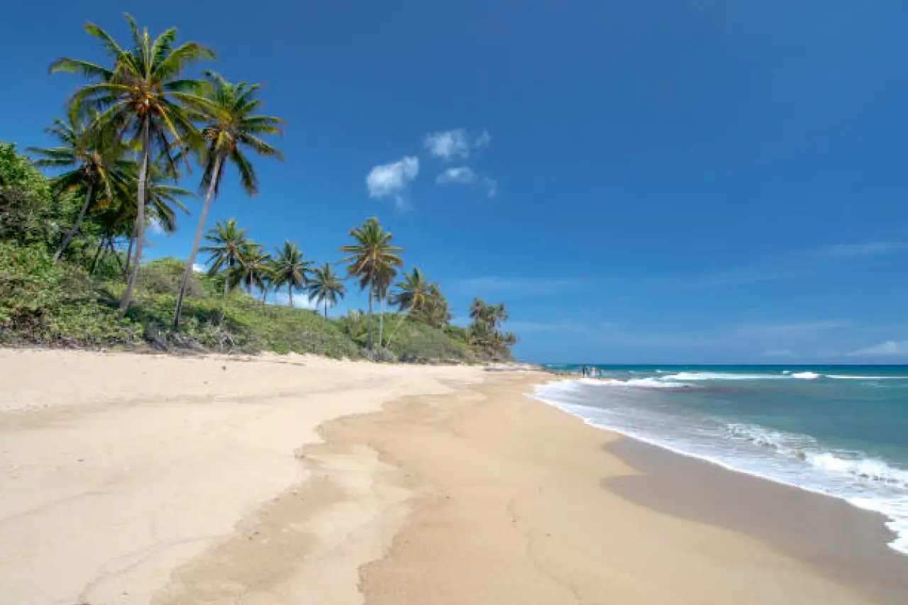 Beachside Bliss: Discover Your Dream 3-Bedroom Villa Just 60 Seconds from the Sand