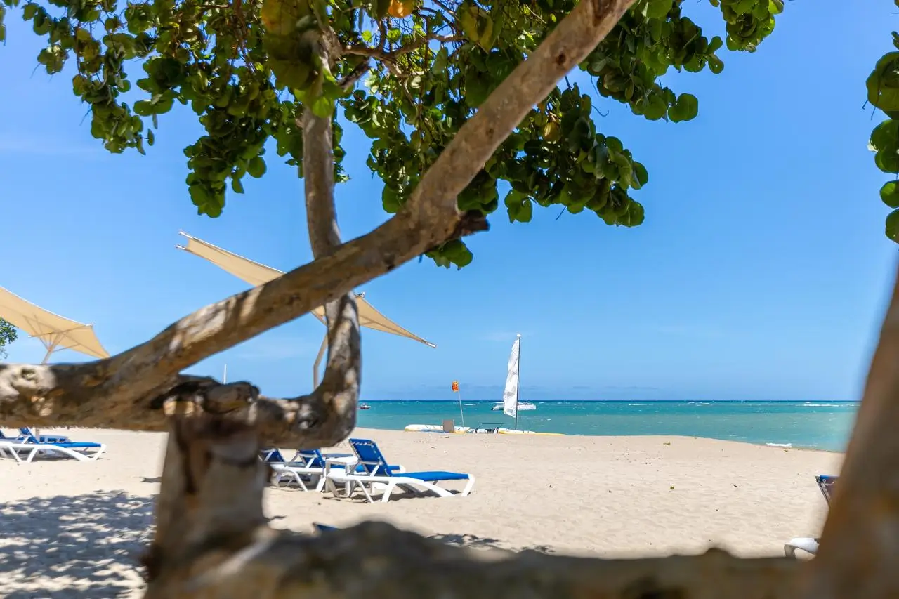 Fortunity Beach Tower II Apartments in Playa Dorada